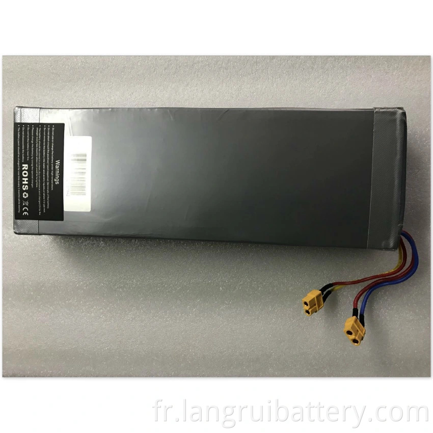 18650 Cell Lithium 36V 9AH LI-ION Batterie pour vélo électrique